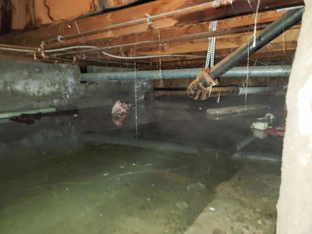 Best Flood restoration services  in Athens, GA