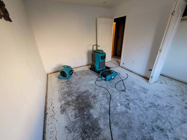 Best Local water damage restoration  in Athens, GA