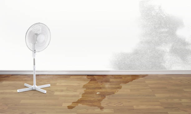 Best 24-hour water damage restoration  in Athens, GA