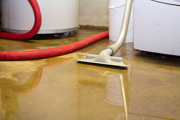 Best Sewage cleanup and water damage restoration  in Athens, GA