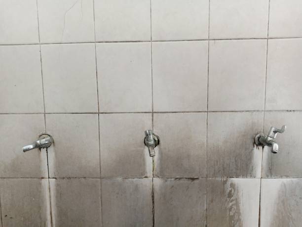 Best Residential water damage restoration  in Athens, GA